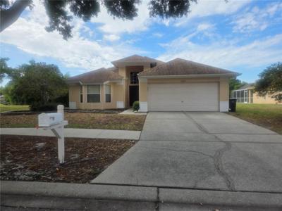10002 OASIS PALM DRIVE
