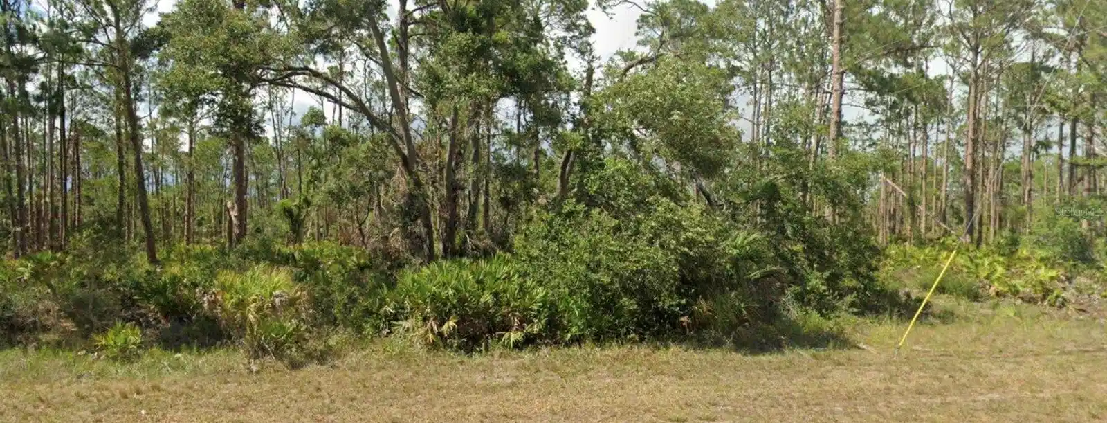 Image 1 Image 1