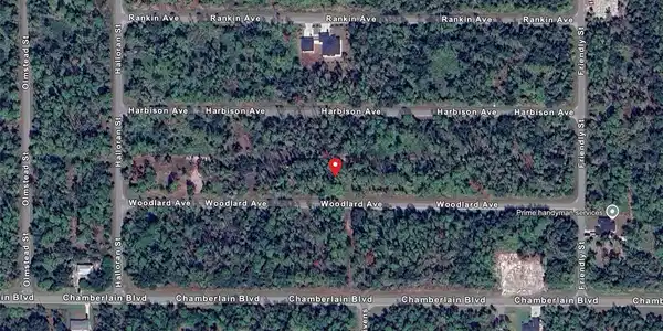 Image 4 Image 4