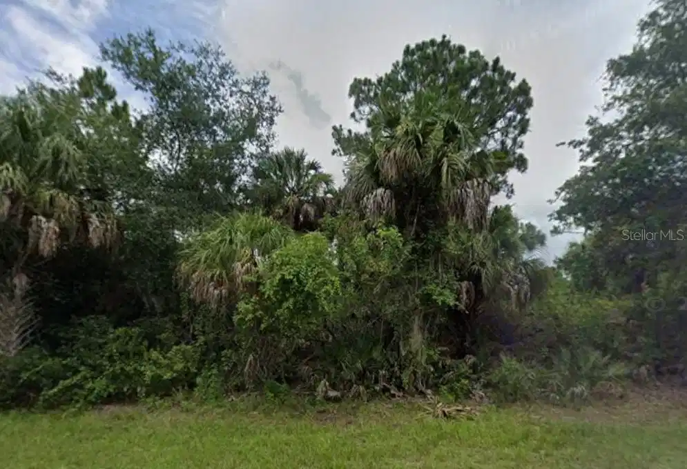 Image 1 Image 1