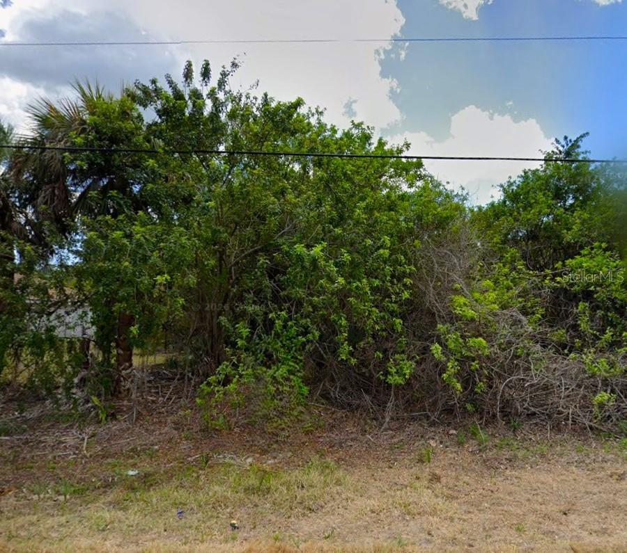 Image 1 Image 1