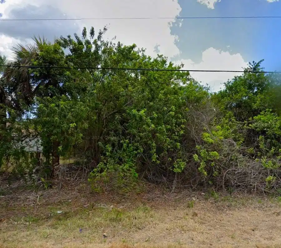 Image 1 Image 1