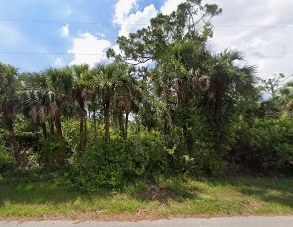Image 1 Image 1