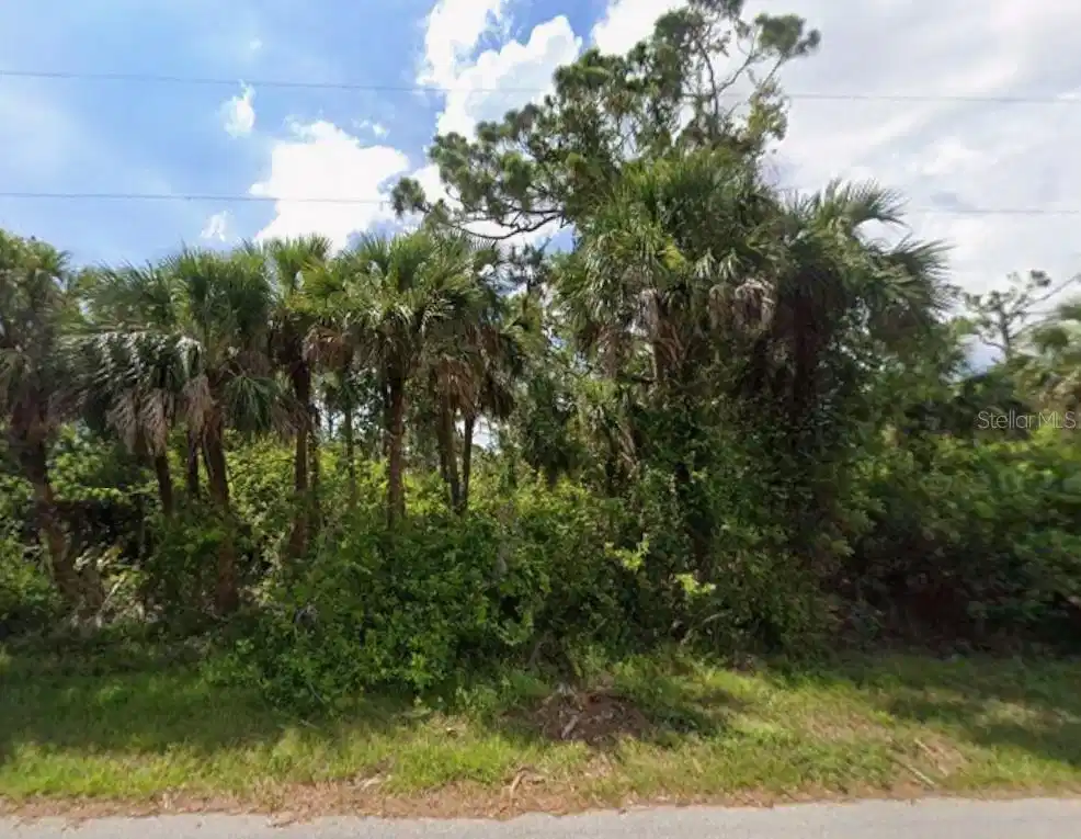 Image 1 Image 1