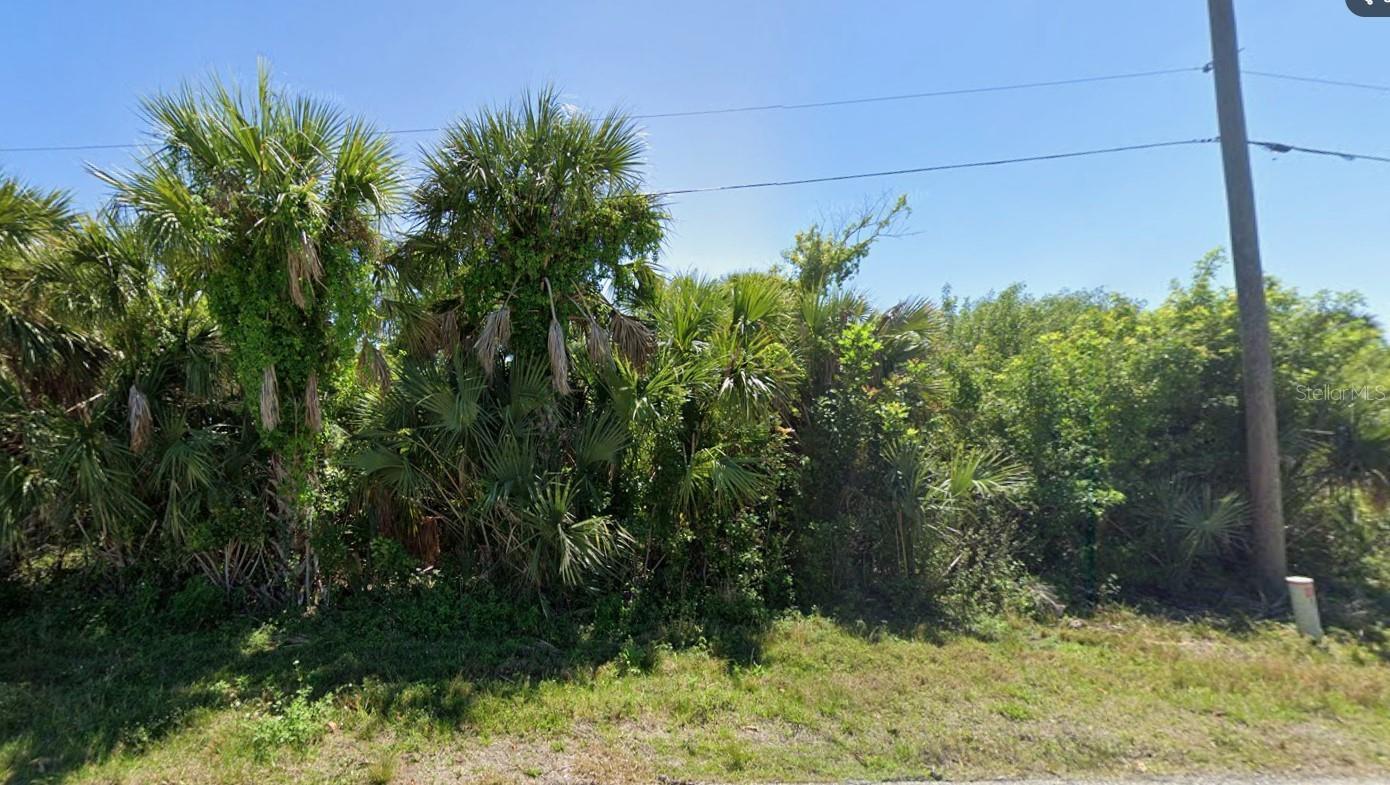 Image 1 Image 1