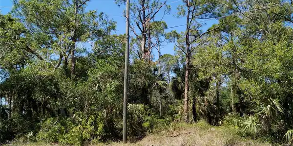 Image 4 Image 4