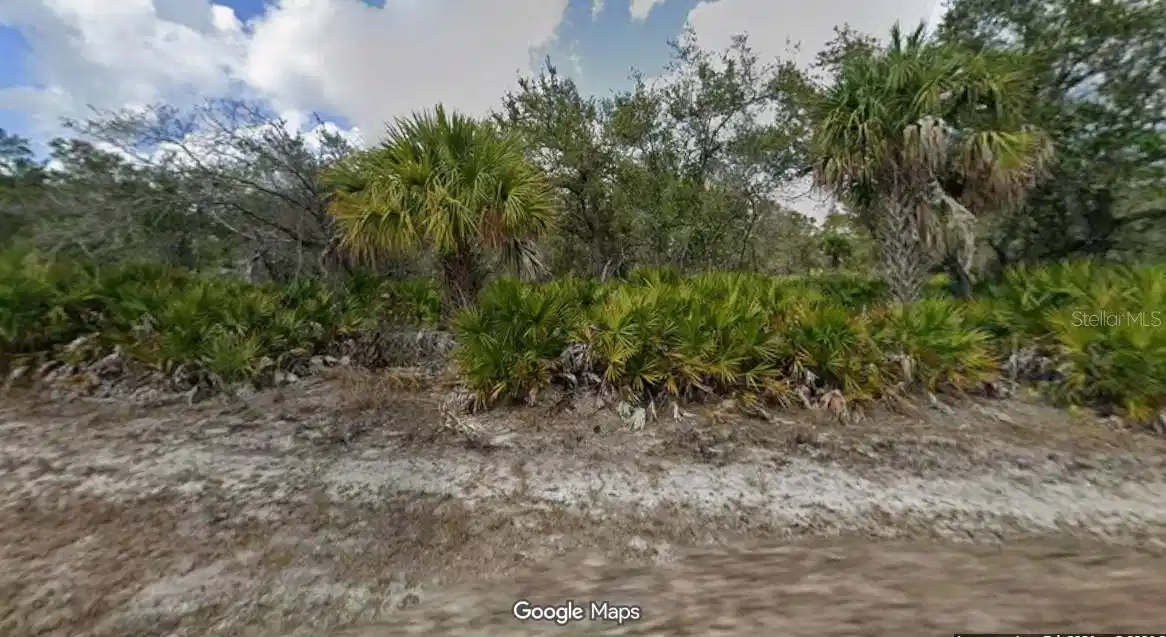 Image 1 Image 1