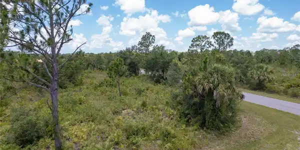 Image 4 Image 4
