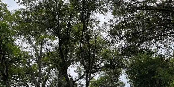 Image 2 Image 2