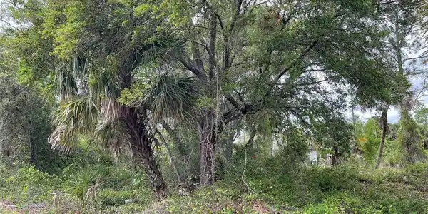 Image 4 Image 4