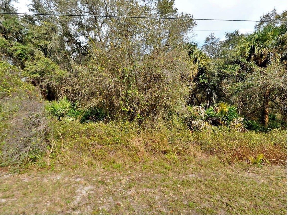 Image 1 Image 1