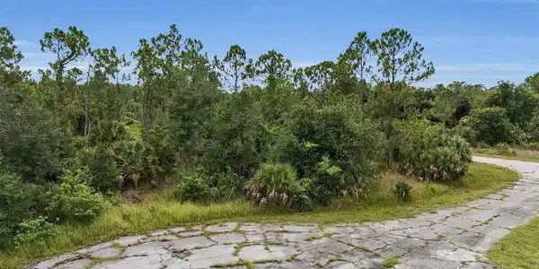 Image 3 Image 3