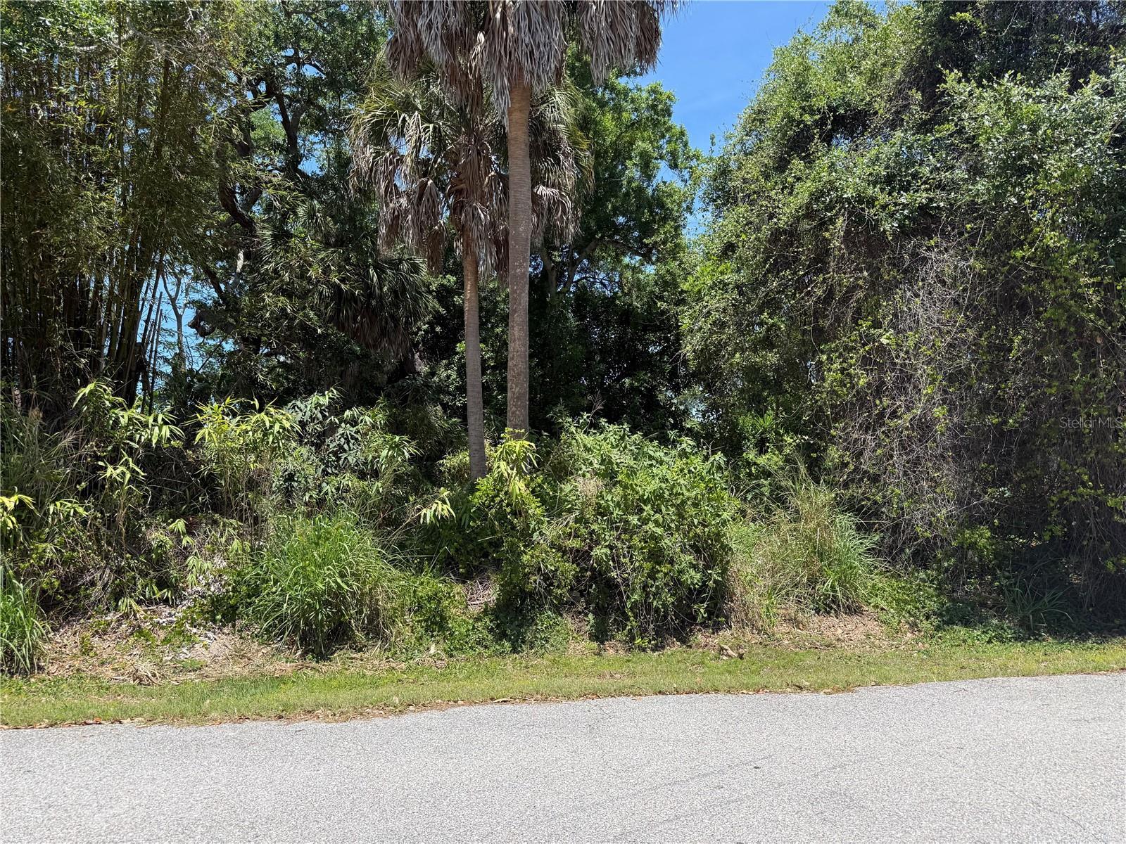 Image 1 Image 1