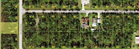 223 CAMPBELL STREET