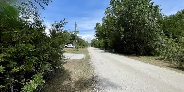 Image 4 Image 4