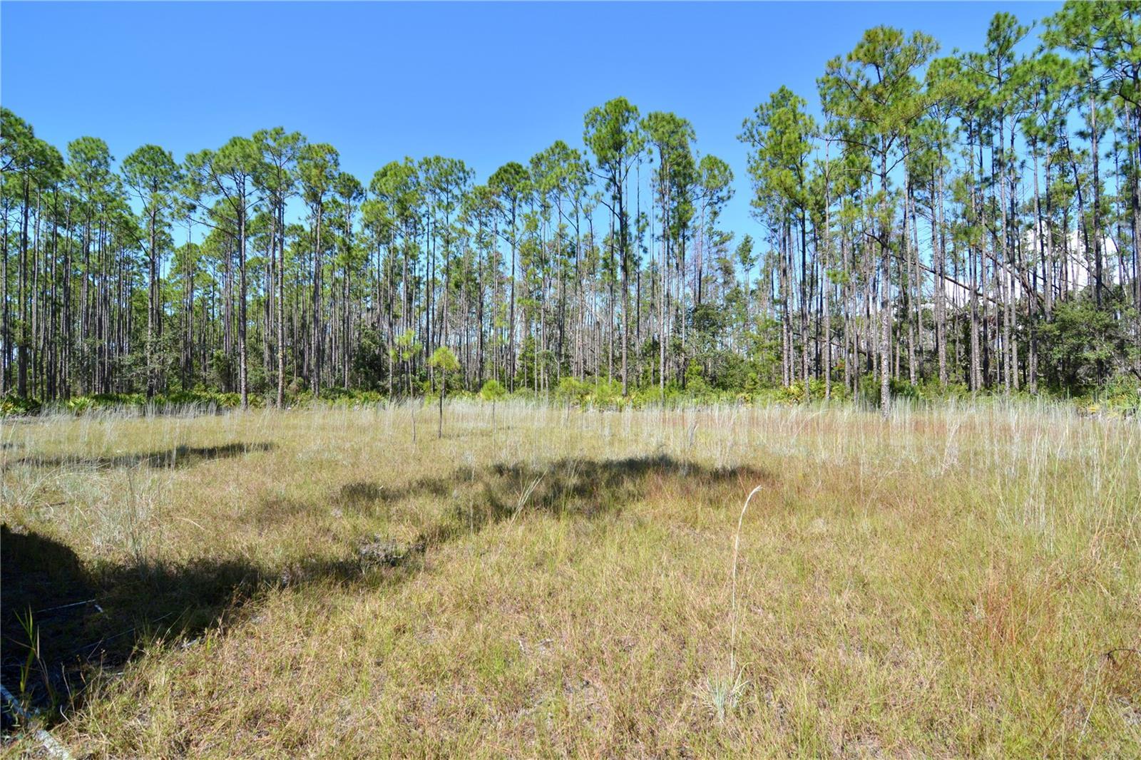 Image 4 Image 4