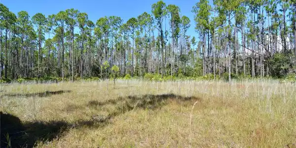 Image 4 Image 4