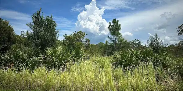 Image 2 Image 2