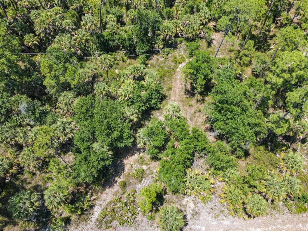 Image 4 Image 4