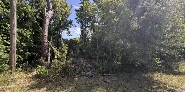 Image 3 Image 3
