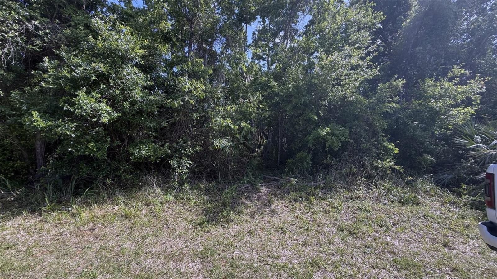 Image 4 Image 4