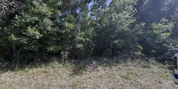 Image 4 Image 4