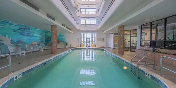 Image 4 Image 4