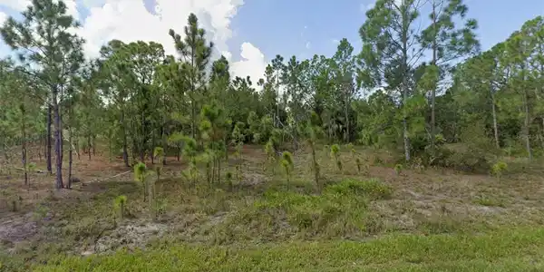Image 2 Image 2