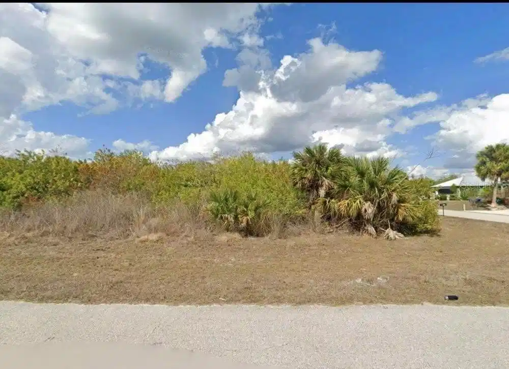 Image 1 Image 1