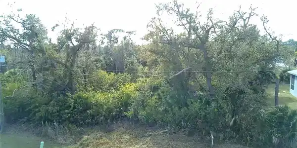 Image 3 Image 3