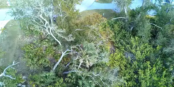 Image 4 Image 4