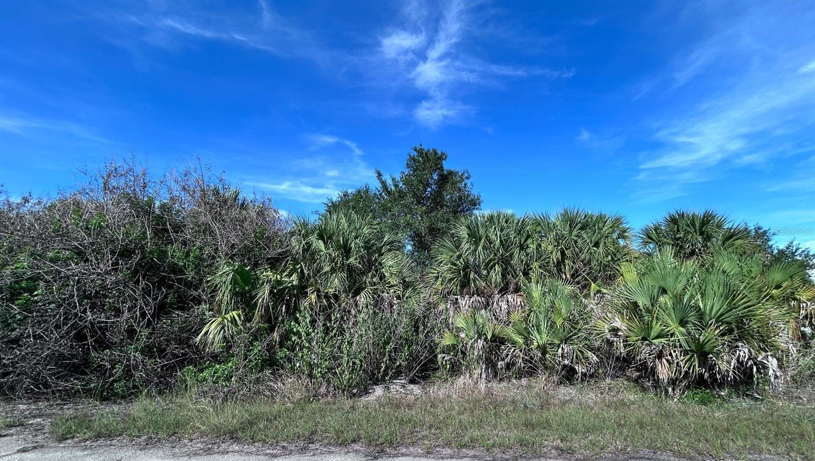 Image 1 Image 1
