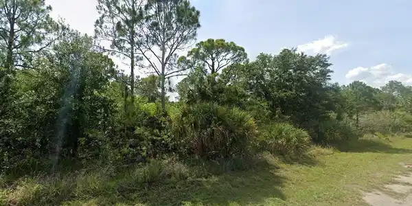 Image 2 Image 2