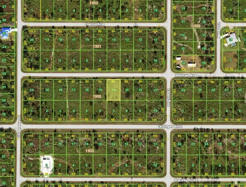Image 1 Image 1