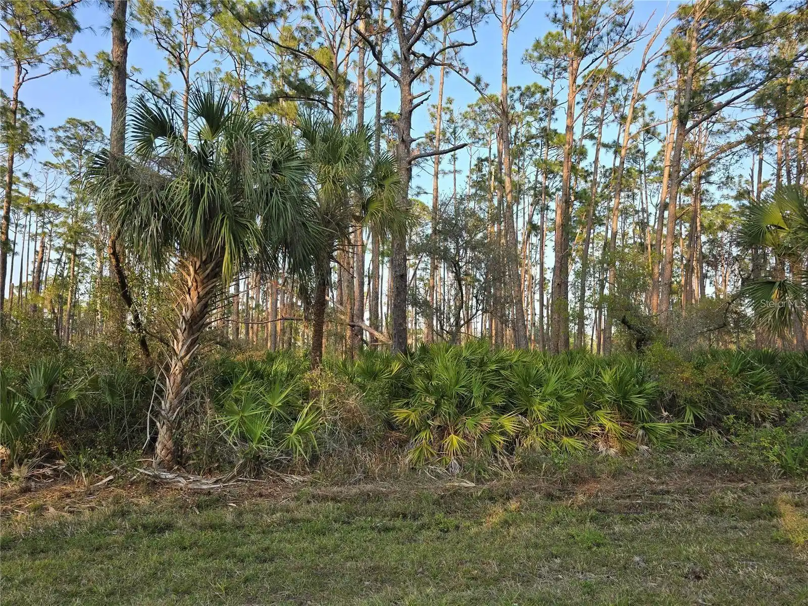 Image 1 Image 1