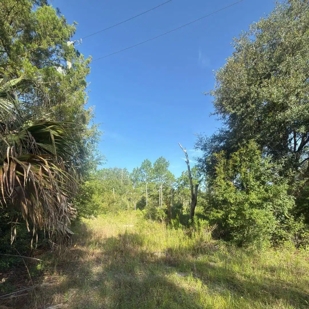 Image 1 Image 1