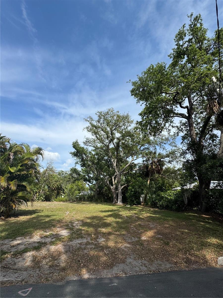 Image 2 Image 2