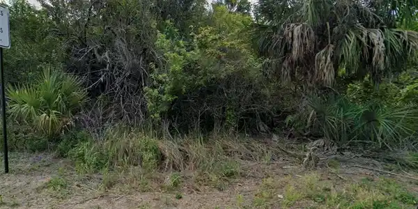 Image 4 Image 4