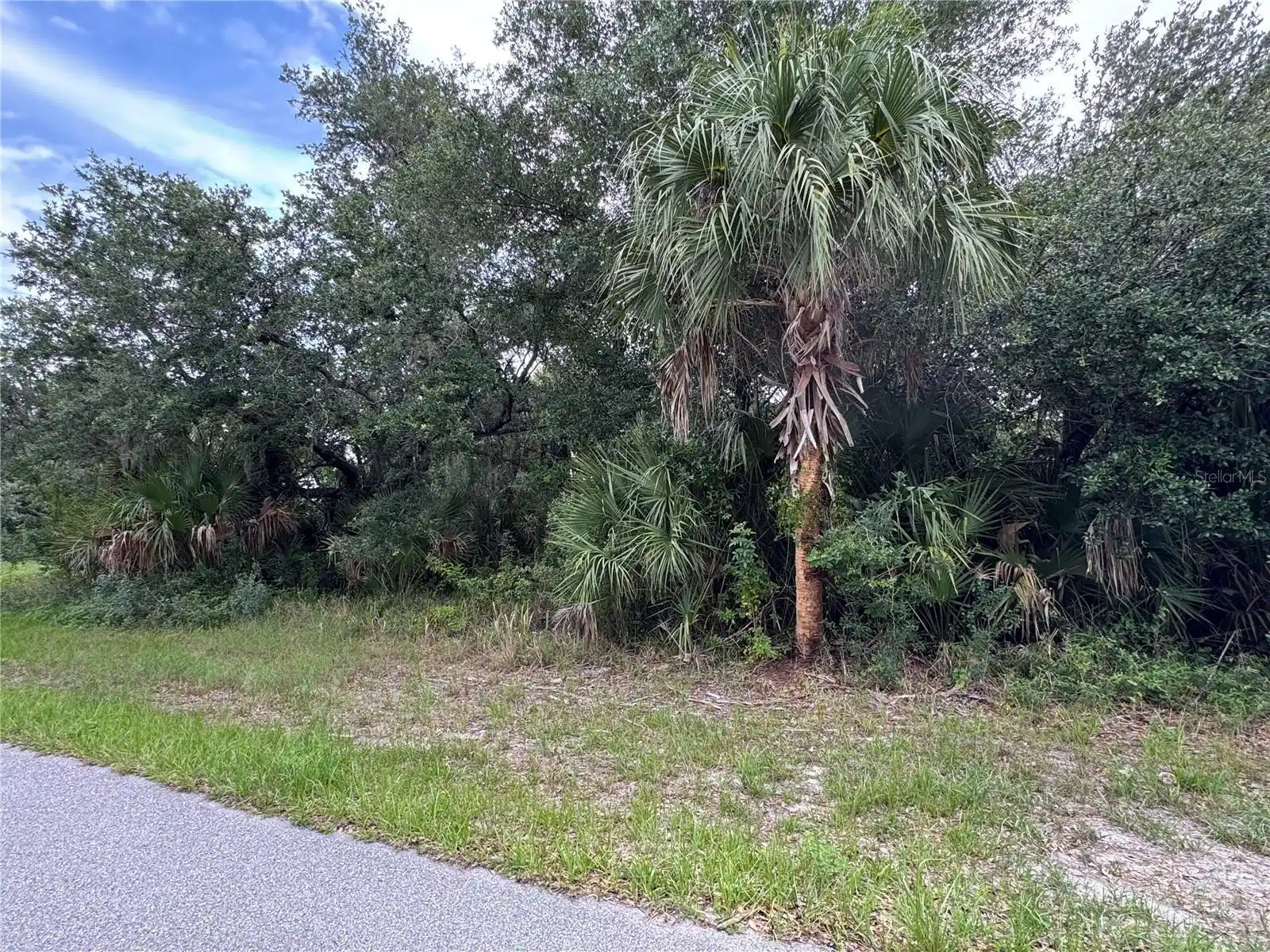 Image 1 Image 1