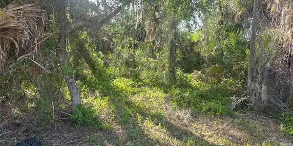 Image 3 Image 3