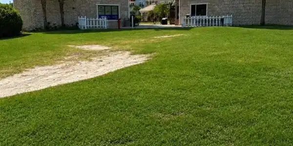 101 PALM HARBOR PKWY
