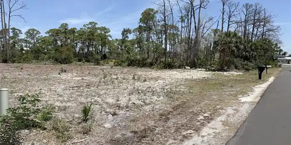 Image 4 Image 4