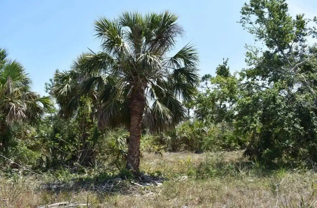 Image 1 Image 1