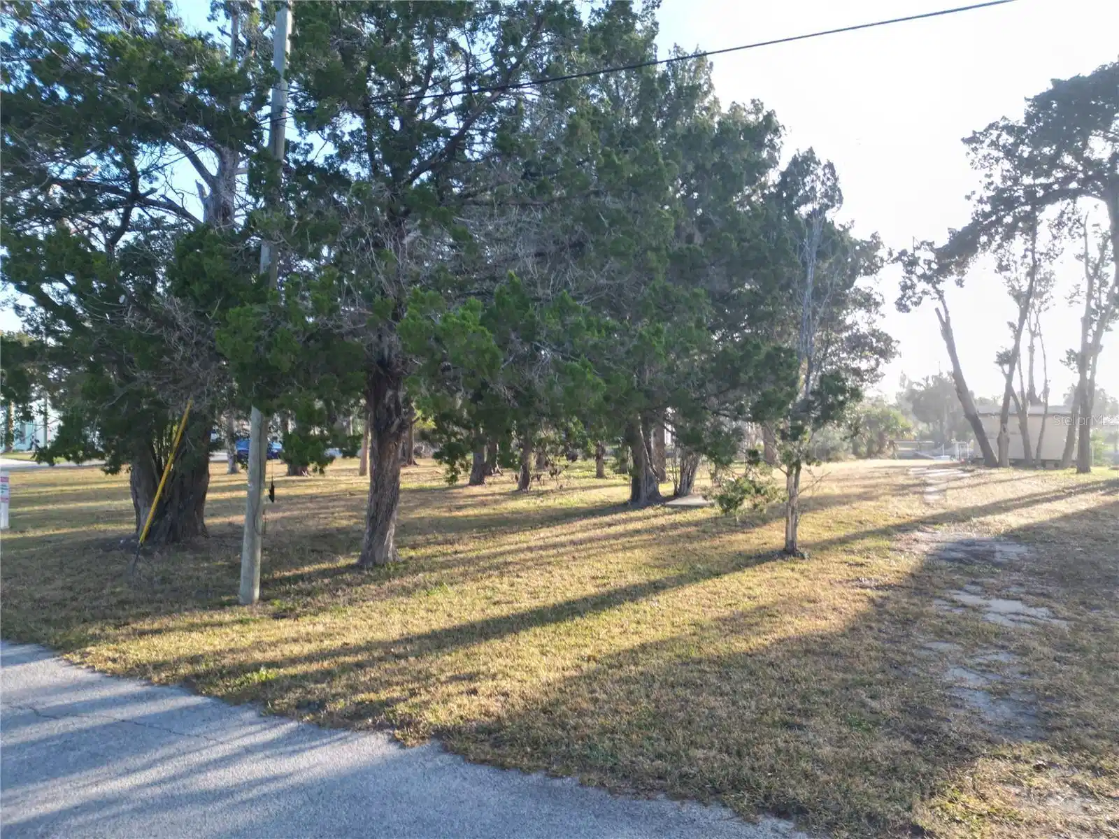 Image 1 Image 1