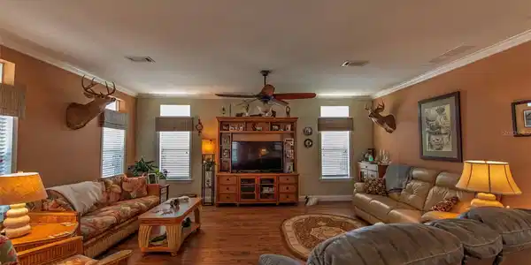 Image 4 Image 4