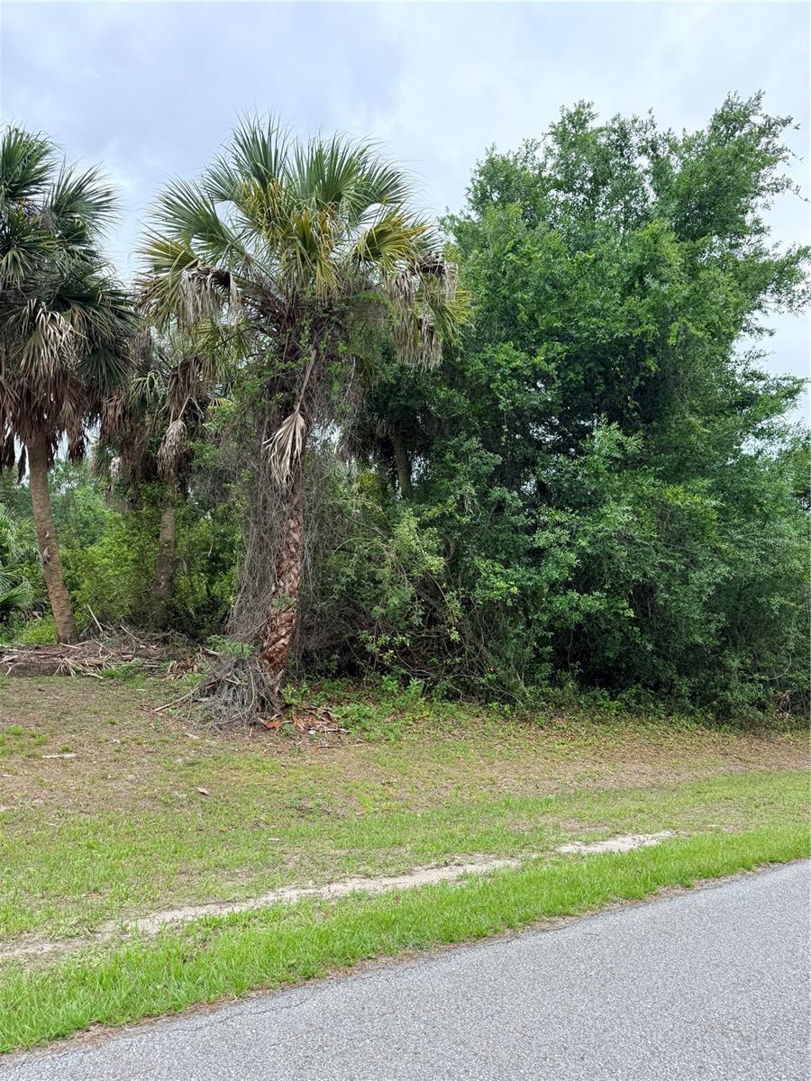 Image 1 Image 1