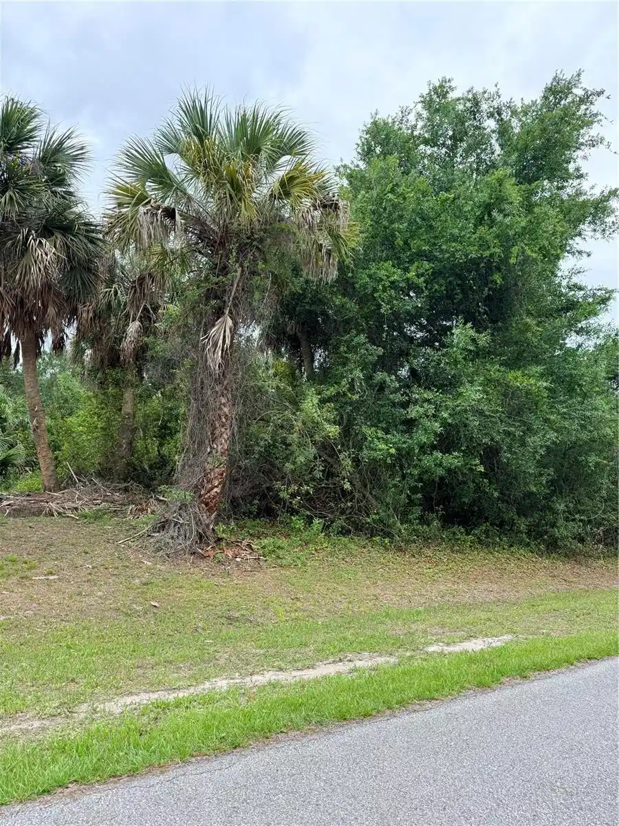 Image 1 Image 1