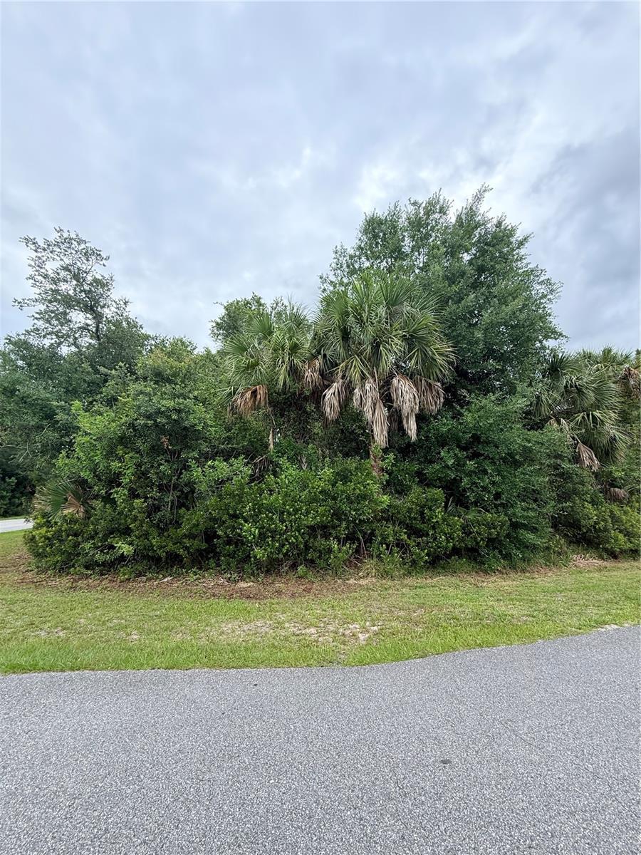 Image 4 Image 4
