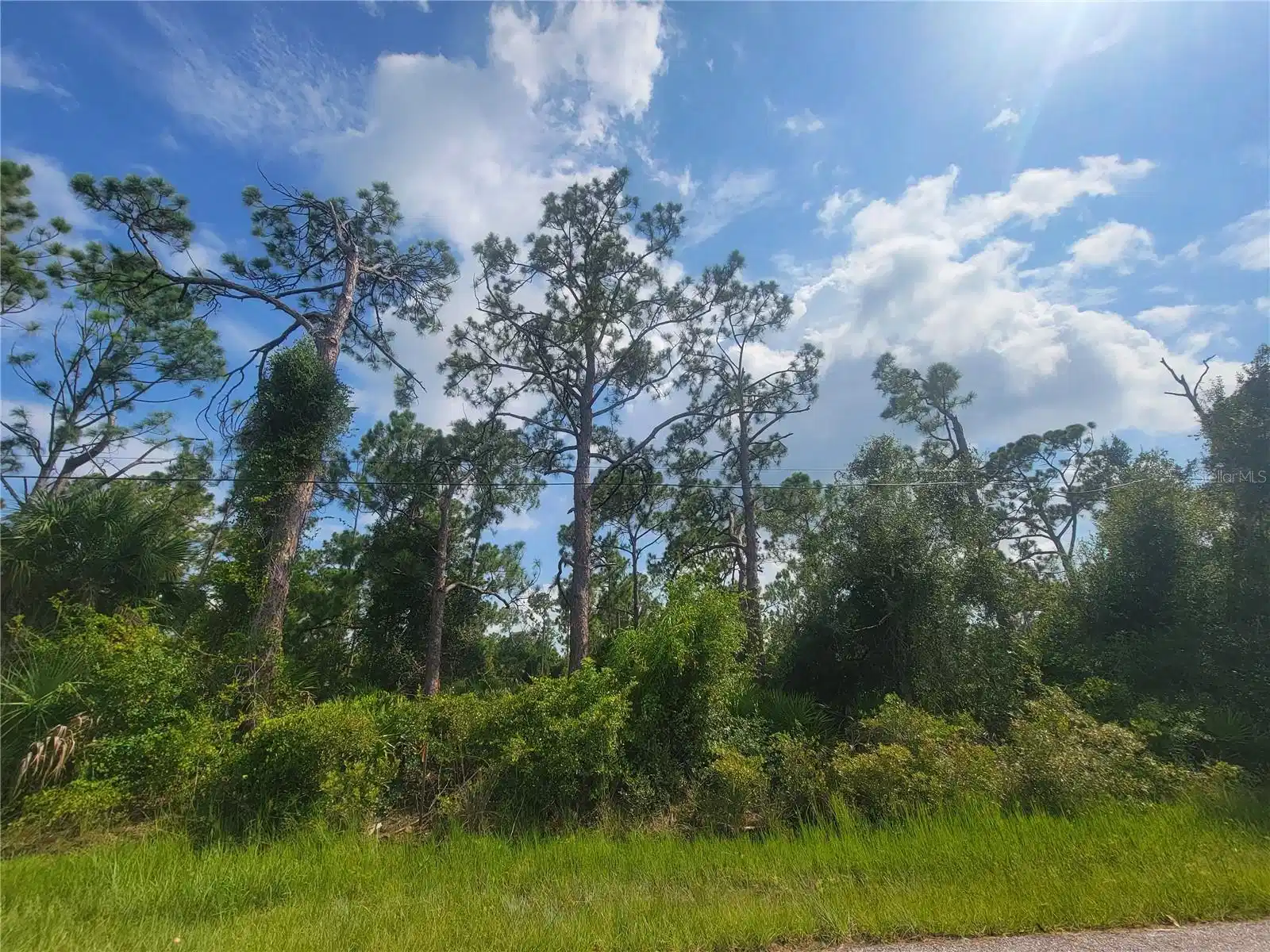 Image 1 Image 1