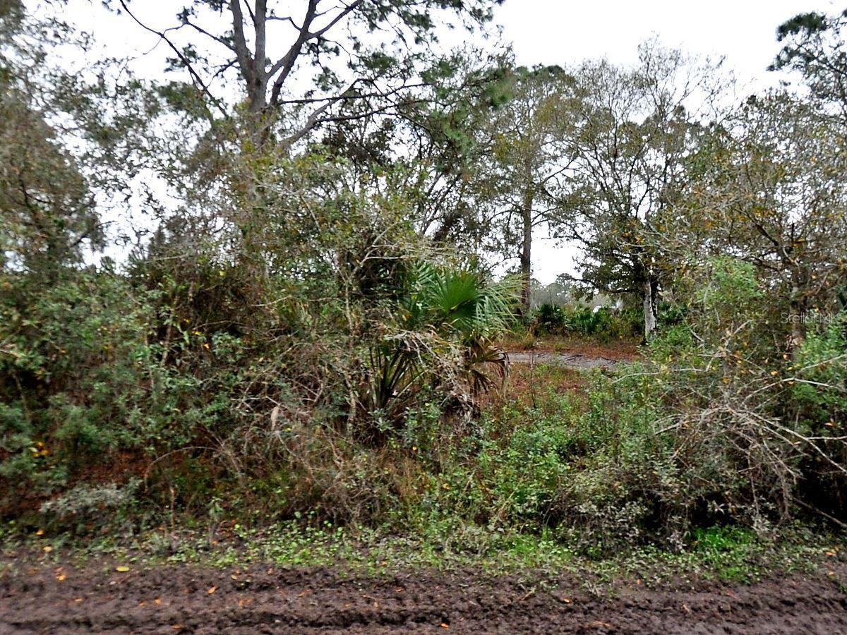 Image 1 Image 1